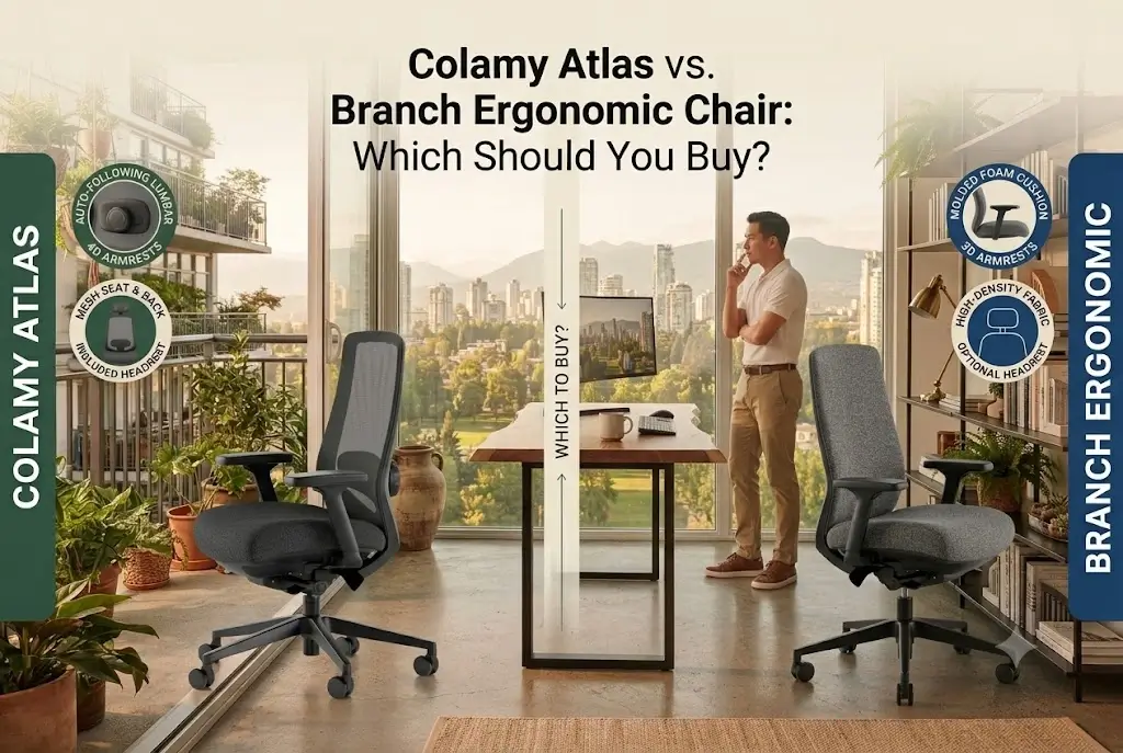 Colamy Atlas vs. Branch Ergonomic Chair Which Should You Buy